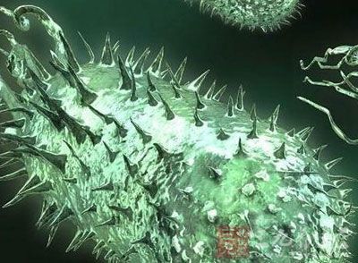 十大外围足球平台app