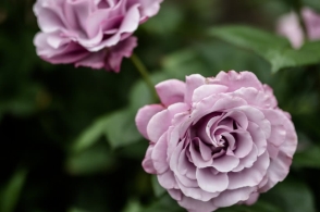 十大外围足球平台app