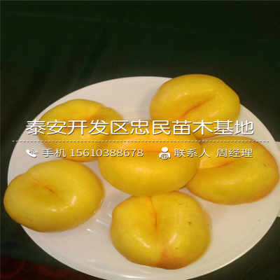 长江有色:11日现铜小跌 供需僵持拉锯【十大外围足球平台app】(图4) 十大外围足球平台app