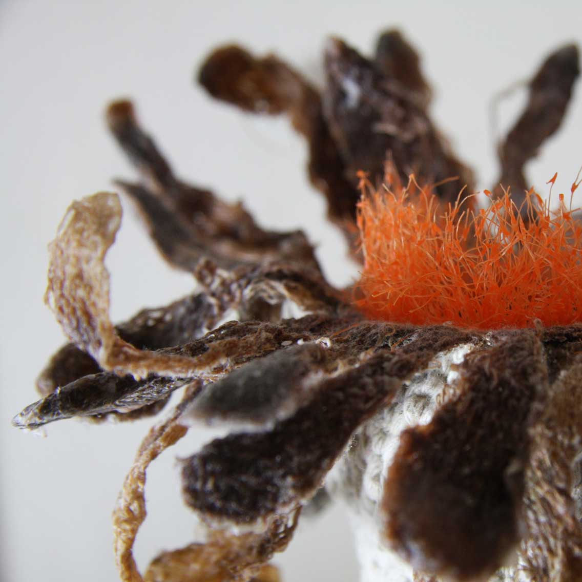 “十大外围足球平台app”在这,聆听地学界的声音——中国地质学会2019年学术年会综述(图2) 十大外围足球平台app