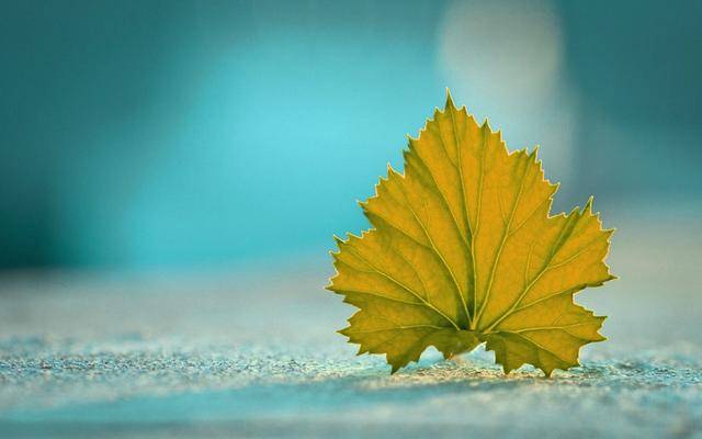 10月1日“十大外围足球平台app”(图3)
10月1日“十大外围足球平台app”(图3)