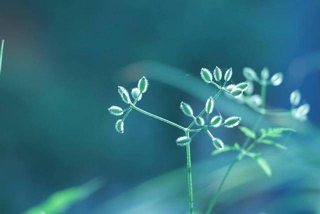 10月1日“十大外围足球平台app”(图5)
10月1日“十大外围足球平台app”(图5)