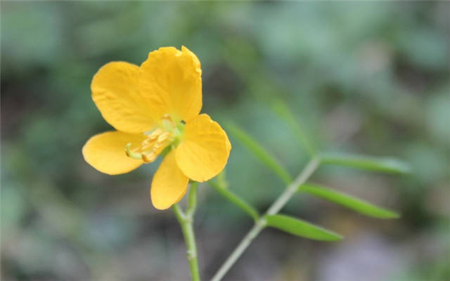 10月1日“十大外围足球平台app”(图7)
10月1日“十大外围足球平台app”(图7)