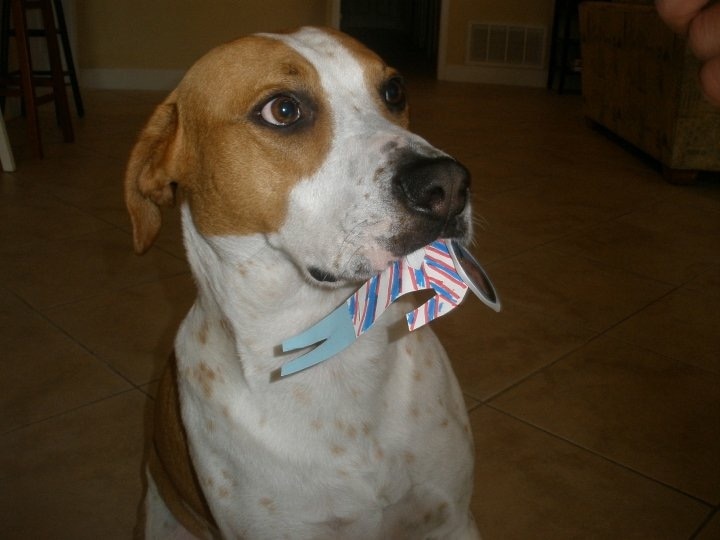 十大外围足球平台app