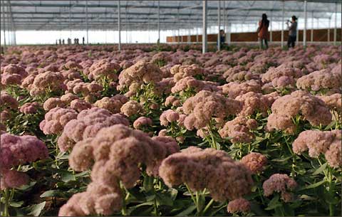 十大外围足球平台app