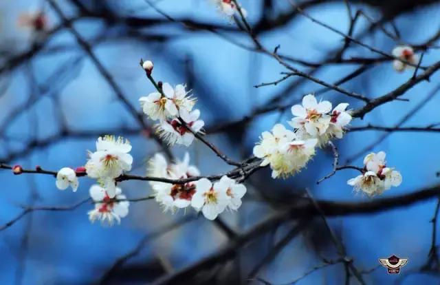 十大外围足球平台app